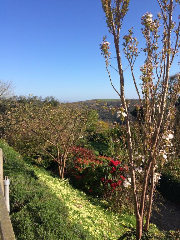 Boscastle House Bed and Breakfast Exterior foto