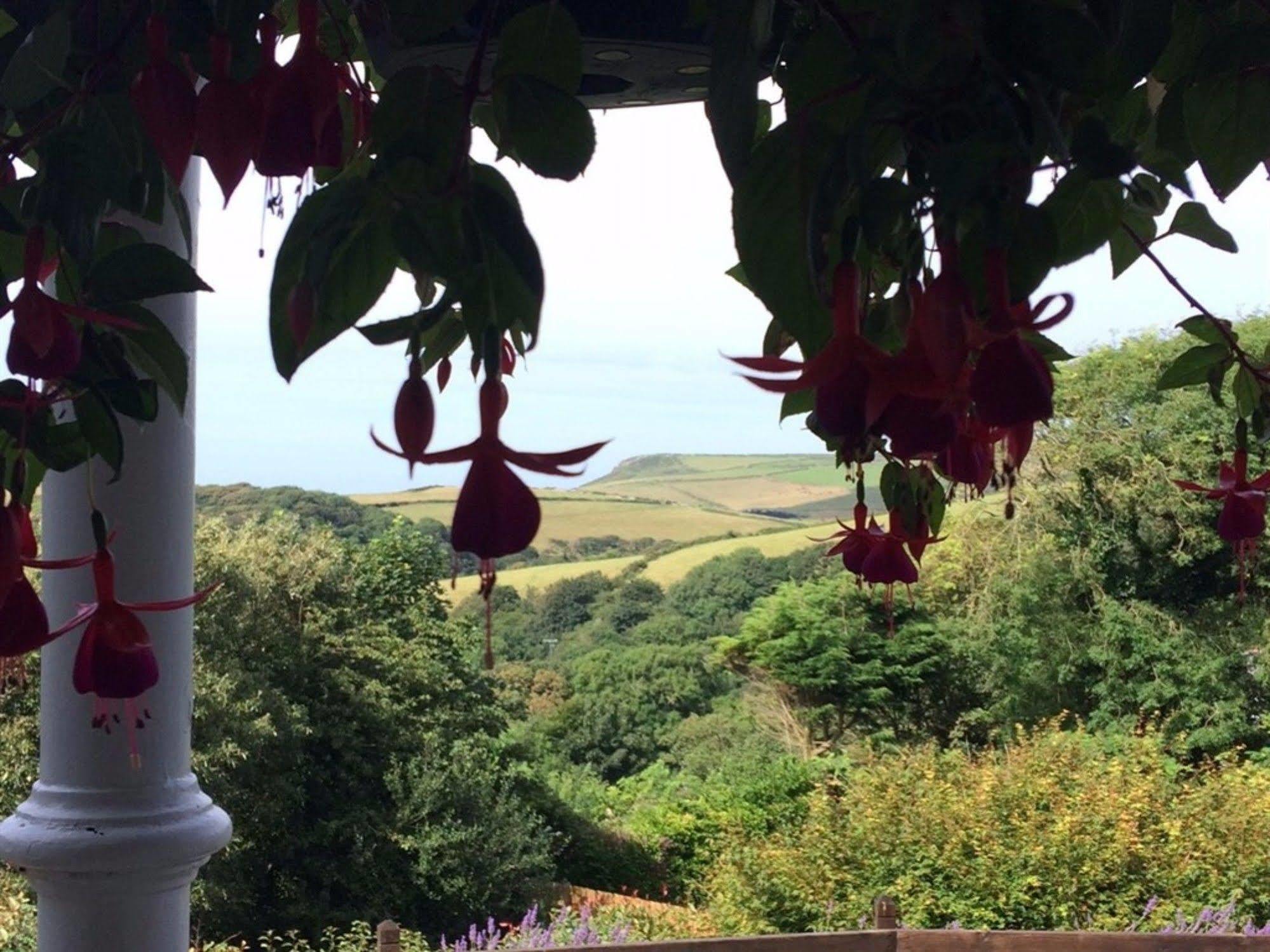 Boscastle House Bed and Breakfast Exterior foto